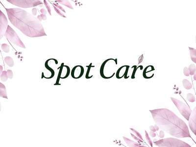 Korean Care BD