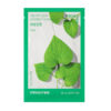 Innisfree Heartleaf Energy Mask 22ml 1 Innisfree Heartleaf Energy Mask 22ml